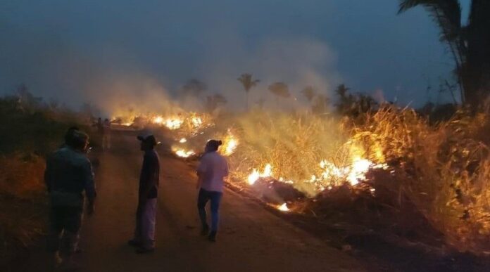 Incendios forestales en Santa Cruz..